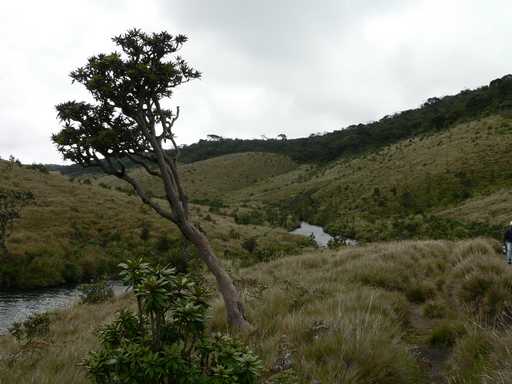 Horton Plains