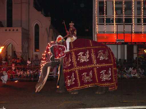 Verklede olifant