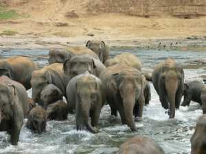 Lekker ploeteren in de rivier