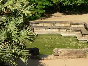 Het Lotusbad in Polonnaruwa