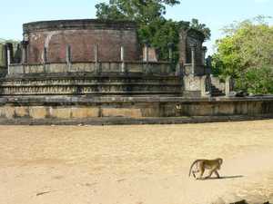 De restanten van de ronde Vatadage tempel