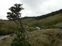 Blik op het ruige landschap van de Horton Plains