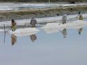 Deze mensen werken 8 uur per dag in de brandende zon bij een zoutfabriek